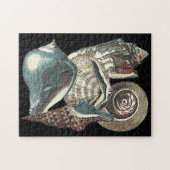Seashell Anthology Legpuzzel (Horizontaal)