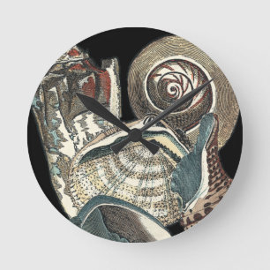 Seashell Anthology Ronde Klok
