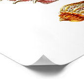 Seashell Art Print no.10 Beach Wall Decor (Hoek)