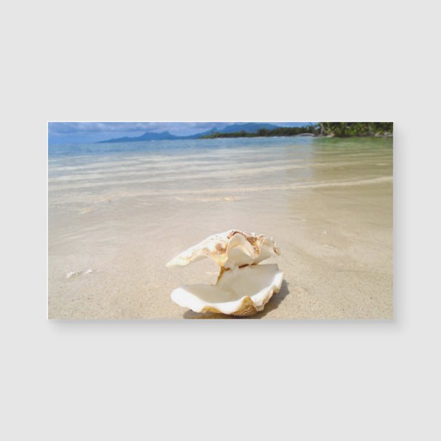 Seashell Beach Magnet Visitekaartje (Voorkant)