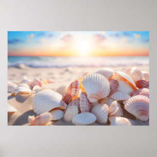 Seashell Beach Natuur Serene Tranquil Poster