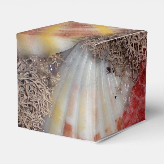 Seashell Bedankdoosjes (Achterkant)