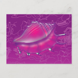 Seashell Briefkaart