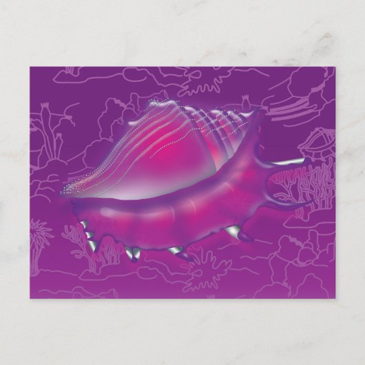 Seashell Briefkaart (Voorkant)