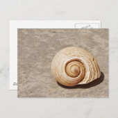 SeaShell Briefkaart (Voorkant / Achterkant)