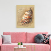 Seashell Canvas Afdruk (Insitu (Woonkamer))