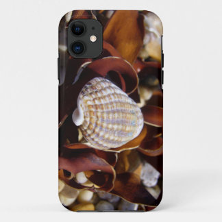 Seashell iPhone 11 Hoesje