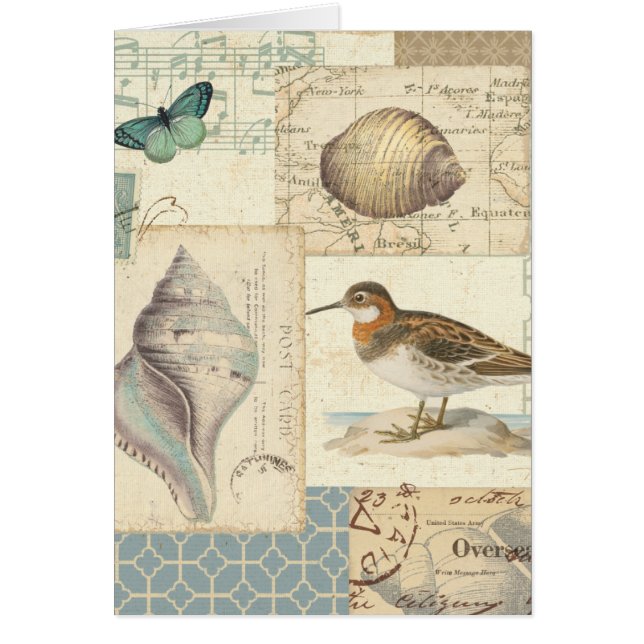 Seashell Collage (Voorkant)