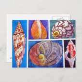 Seashell collage briefkaart (Voorkant / Achterkant)