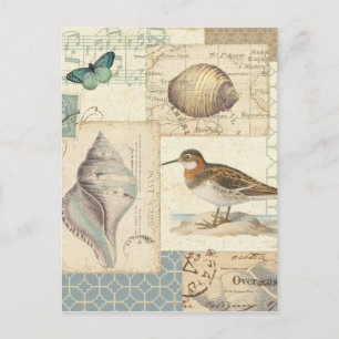 Seashell Collage Briefkaart