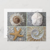 Seashell Collage Briefkaart (Voorkant / Achterkant)