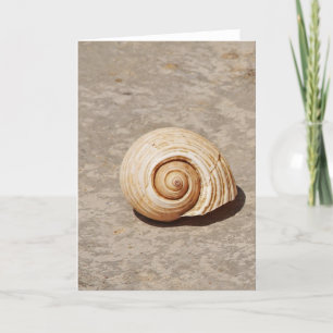 SeaShell Feestdagen Kaart