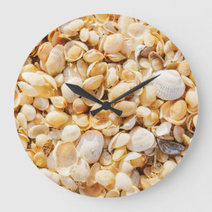 Seashell gestructureerde zomer strand achtergrond. grote klok