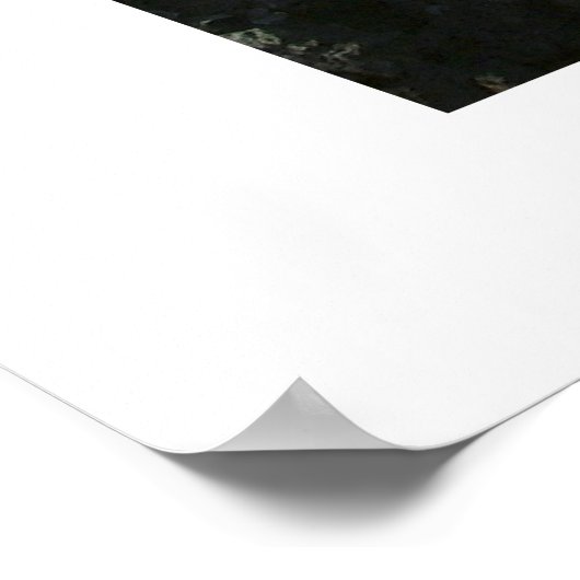 Seashell House Poster (Hoek)