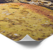 Seashell in de Seashore Poster (Hoek)