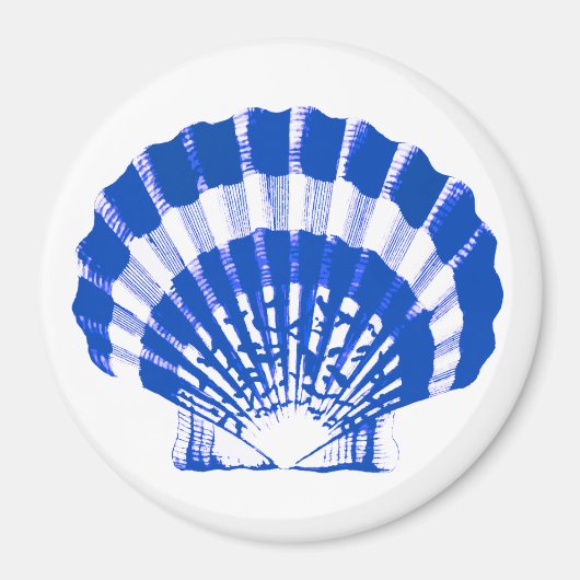 Seashell - kobalt blauw en wit magneet (Voorkant)