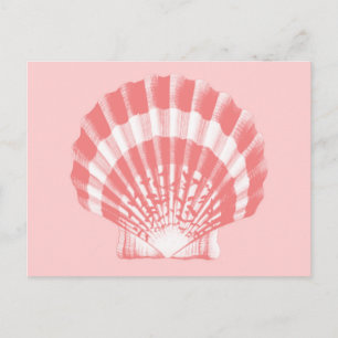 Seashell - koraalroze en wit briefkaart