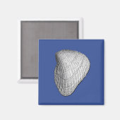 Seashell Magnet Magneet (Voorkant / Achterkant)