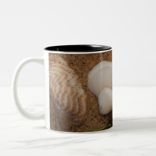 Seashell Mug (Gauche)