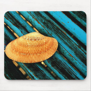 seashell muismat