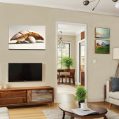 Seashell Mushroom Canvas Muurkunst Afdruk