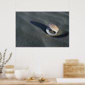 Seashell, Nieuw-Zeeland Poster (Keuken)