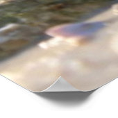 Seashell op het strand poster (Hoek)