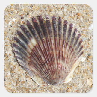 Seashell op zand vierkante sticker