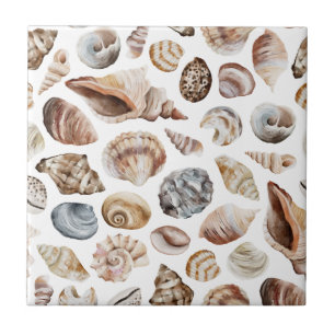 Seashell-patroon Tegeltje