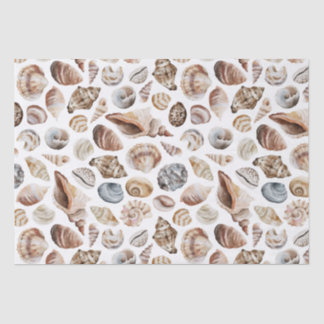 Seashell-patroon Tissuepapier
