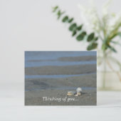 Seashell Pile Briefkaart (Staand voorkant)