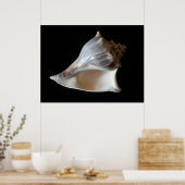 Seashell Poster (Keuken)