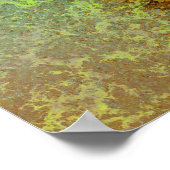 SEASHELL-Poster Poster (Hoek)