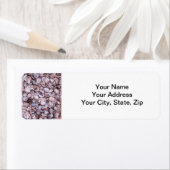 Seashell retour adres labels (Insitu)