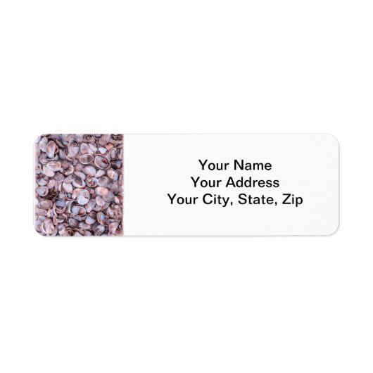 Seashell retour adres labels (Voorkant)