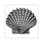  Seashell Rubberstempel (Afrduk)