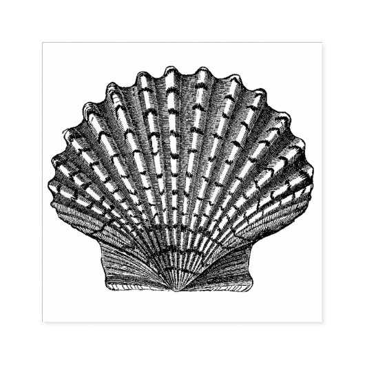  Seashell Rubberstempel (Afrduk)