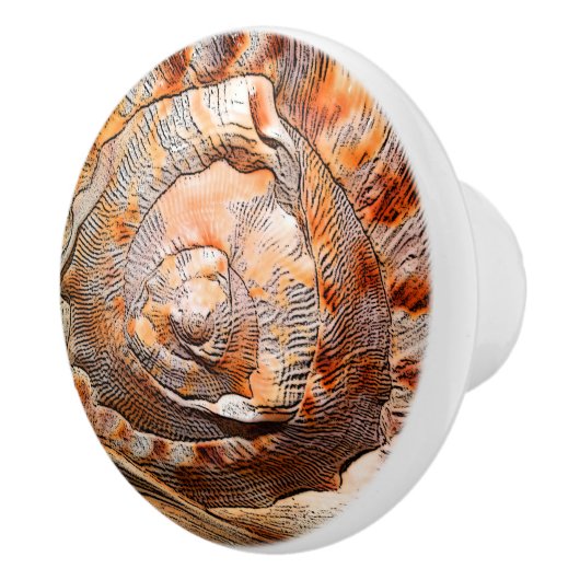 Seashell Shell Beach House Decor Keramische Knop (Rechts)