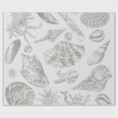 Seashell Soft Antiek Art Beach Shells Cadeaupapier (Vlak)