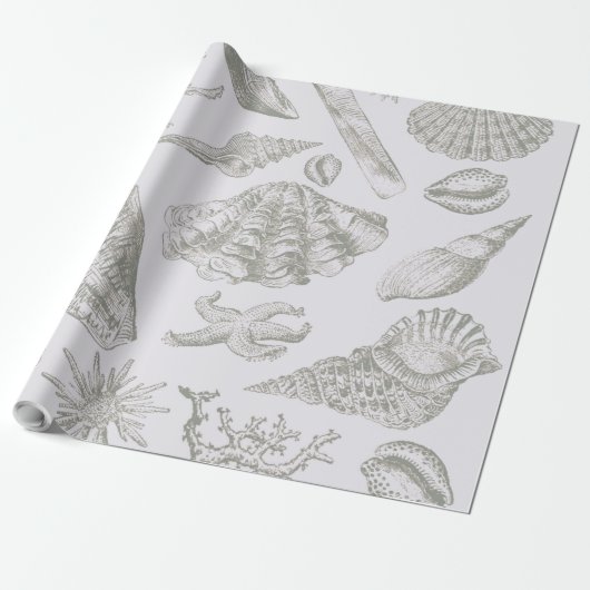 Seashell Soft Antiek Art Beach Shells Cadeaupapier (Uitgerold)