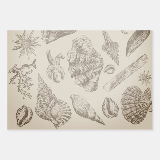 Seashell Soft Antiek Art Beach Shells Inpakpapier Vel (Voorkant 2)