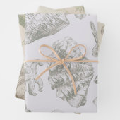 Seashell Soft Antiek Art Beach Shells Inpakpapier Vel (In situ)