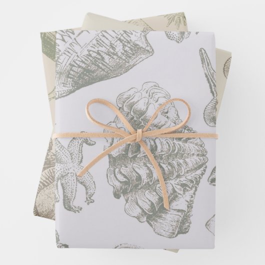 Seashell Soft Antiek Art Beach Shells Inpakpapier Vel (In situ)