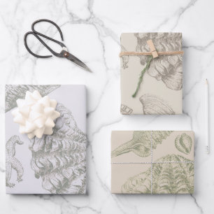 Seashell Soft Antiek Art Beach Shells Inpakpapier Vel