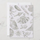 Seashell Soft Antiek Art Beach Shells Kaart (Achterkant)