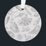 Seashell Soft Antique Art Beach Shops<br><div class="desc">Beach Seashell Classic Elegant Shell Art - Un thème de plage avec des oeuvres d'art de coquillages vintages.</div>