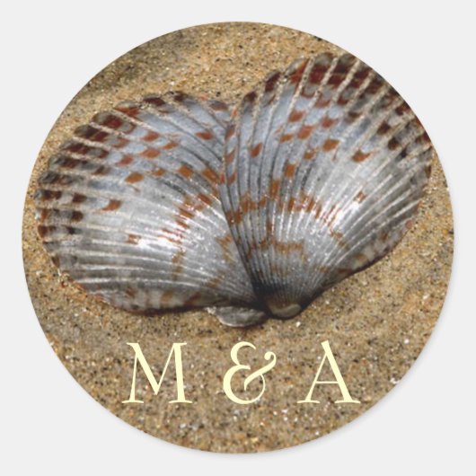 Seashell stickers (Voorkant)