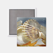 Seashell Sunshine Magnet Magneet (Voorkant / Achterkant)