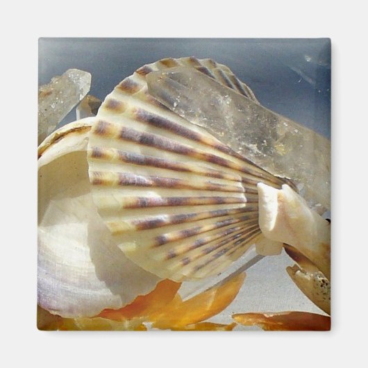 Seashell Sunshine Magnet Magneet (Voorkant)