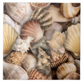 Seashell Symfonie patroon Tegeltje (Voorkant)